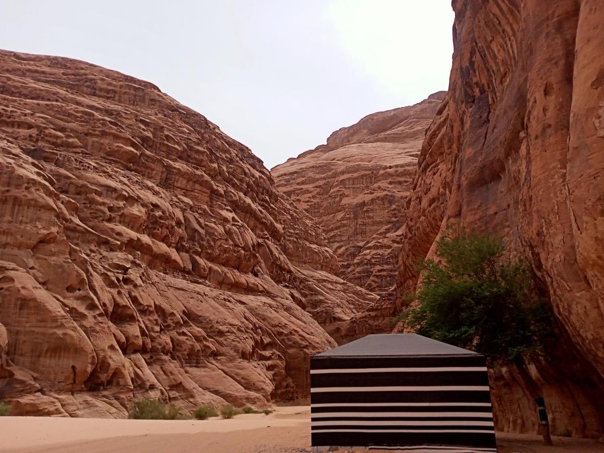 Shahrazad Desert, Ουάντι Ραμ Εξωτερικό φωτογραφία