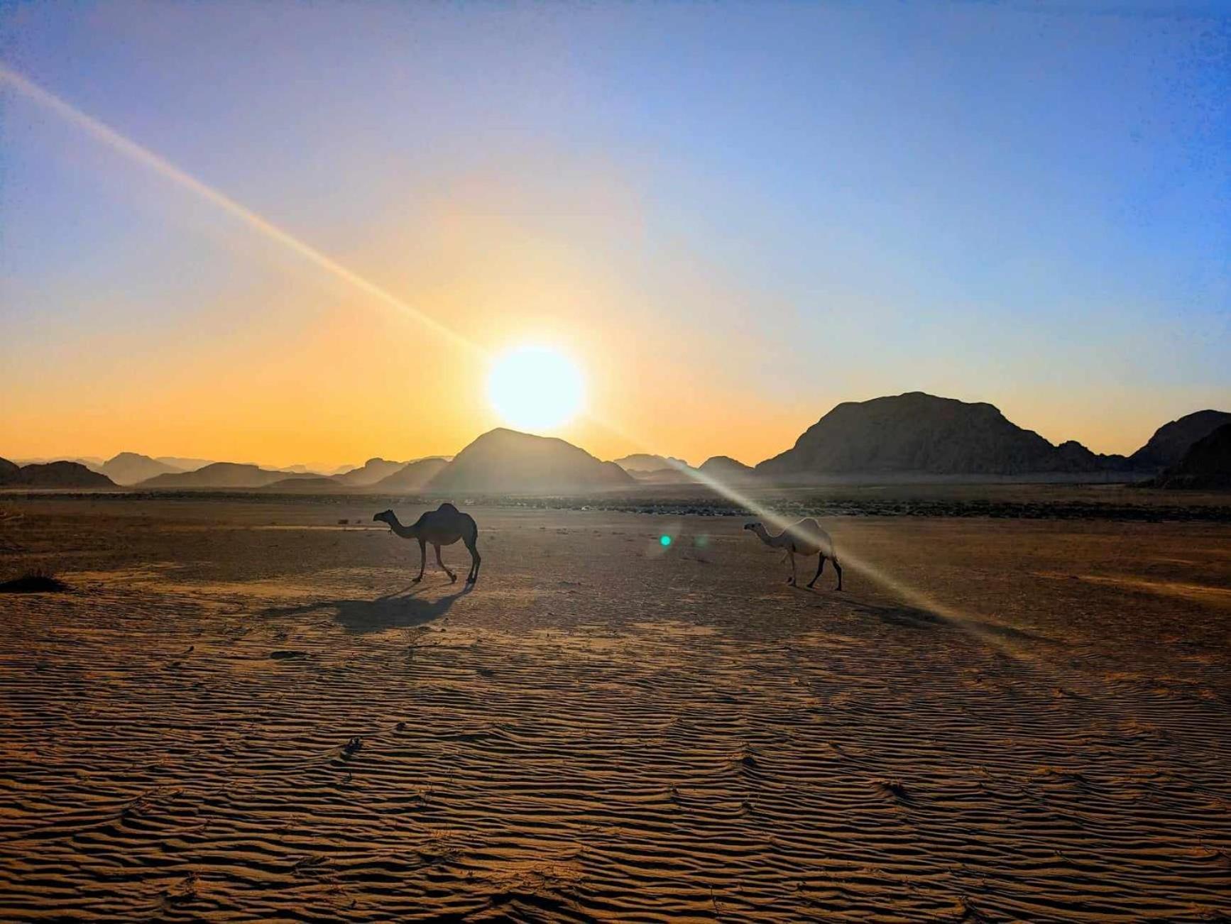 Shahrazad Desert, Ουάντι Ραμ Εξωτερικό φωτογραφία